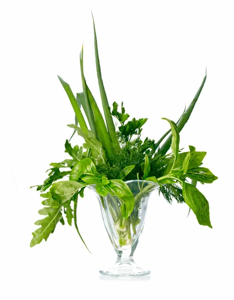 stock image Greenery herbs assortment