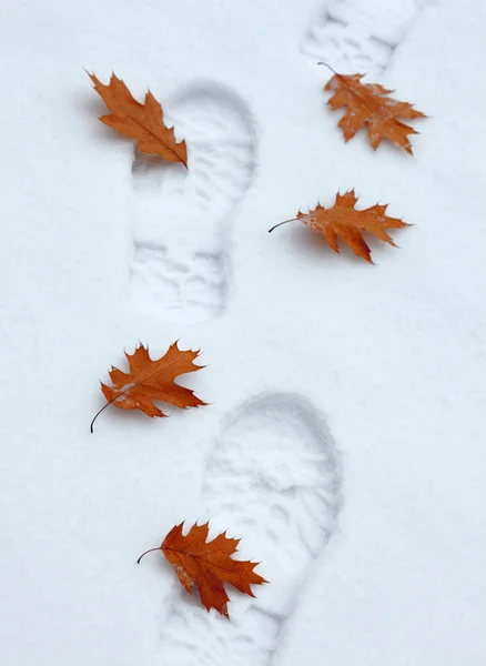 stock image Snowy footsteps with autumn leaves