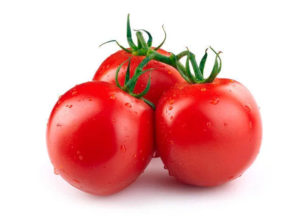 Tomates isolados em branco — Fotografia de Stock