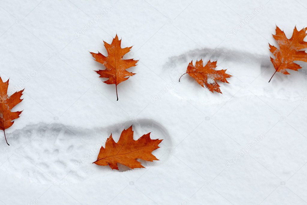 Snowy footsteps with autumn leaves