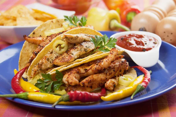 Grilled chicken meat in taco shells — Stock Photo, Image