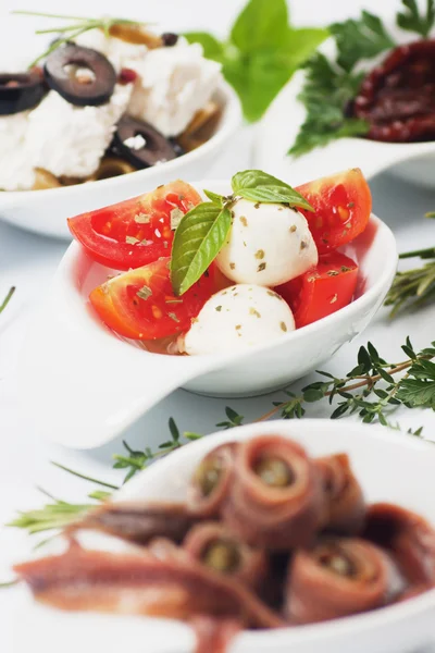 Caprese salad appetizer — Stock Photo, Image