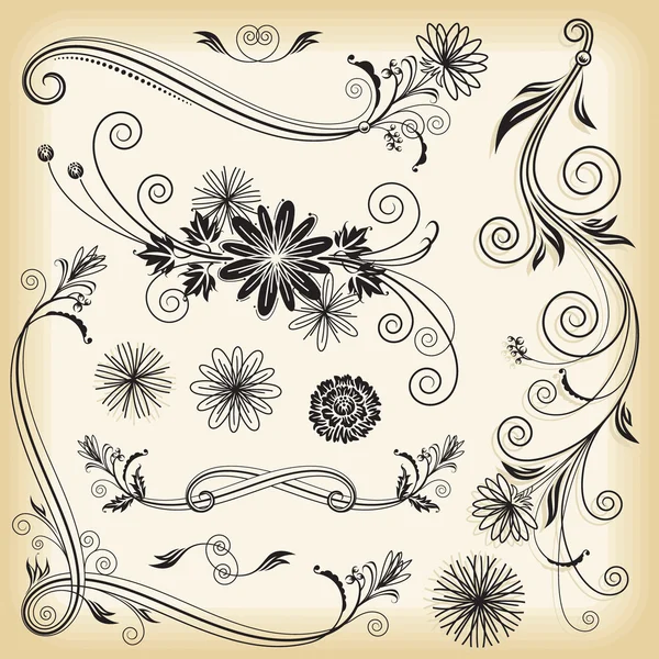 Floral decoratieve elementenreglas de página — Stockvector