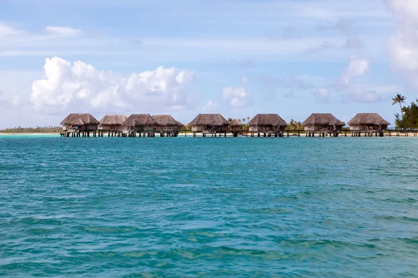 Havskust med palmer och små hus på vatten. — Stockfoto