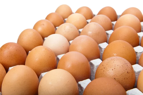 Αυγά σε λευκό φόντο — Φωτογραφία Αρχείου