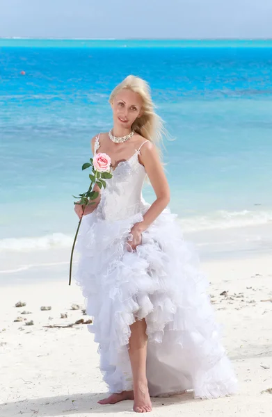 La mujer joven hermosa en el vestido de la novia cuesta a la orilla del mar —  Fotos de Stock