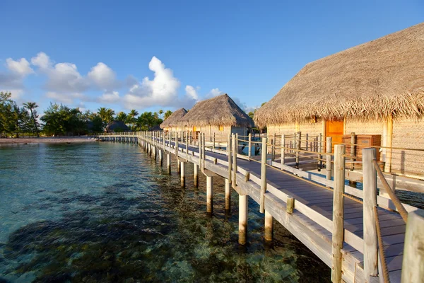 Přímořská oblast s palmami a domky na vodě — Stock fotografie