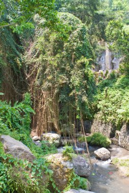 Bali. indonesia.Temple-imparatorluk family.gunung-kavi Türbesi.