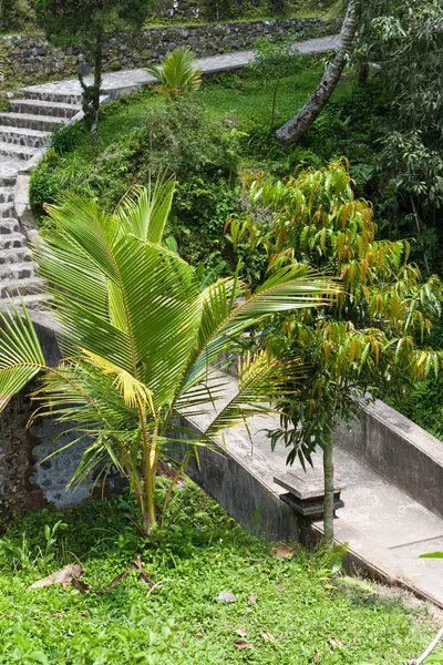 Tropická krajina. Indonésie. Bali. — Stock fotografie