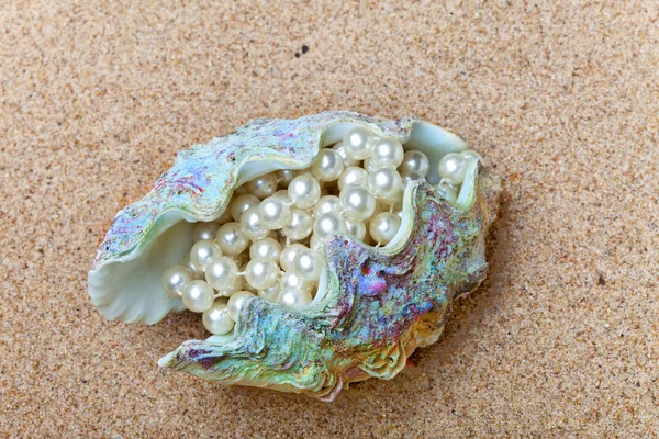 Luminoso guscio marino multicolore con perle all'interno — Foto Stock