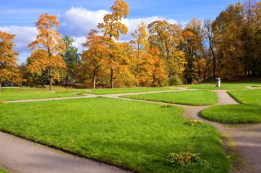 sonbahar park'ın parlak bitkilerde