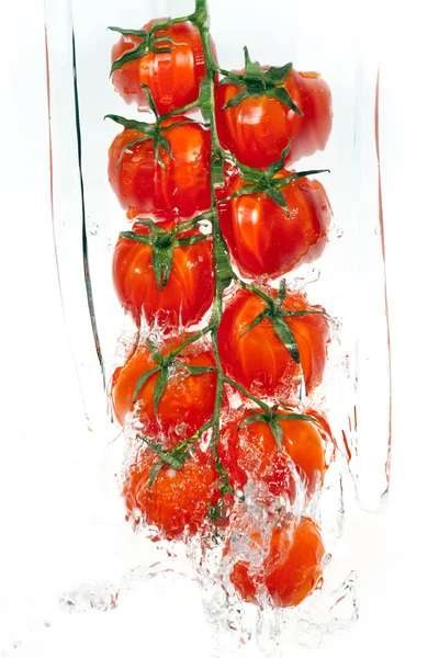 Ветвь помидоров в брызгах воды — стоковое фото