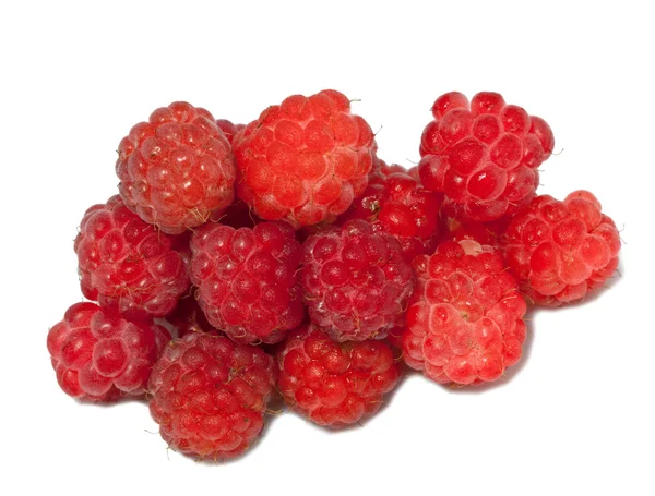 Zralé plody malin na bílém pozadí — Stock fotografie