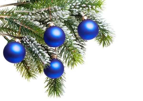 Palle di anno nuovo azzurro scuro su un ramo coperto dalla neve — Foto Stock