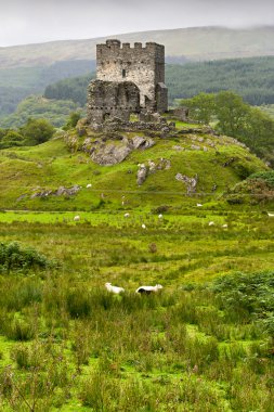 Dolwyddelan castle in Snowdonia, wales clipart