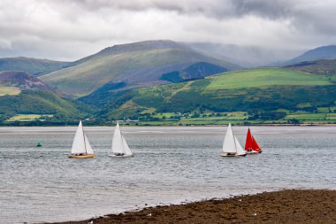 Sailboats in Anglesey, Wales clipart