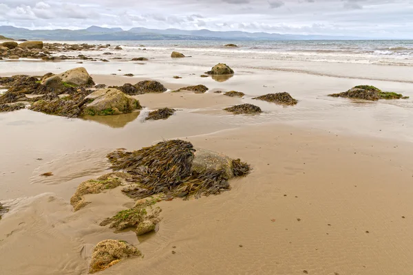 Scena tranquilla alla spiaggia di Criccieth in bassa marea — Foto Stock