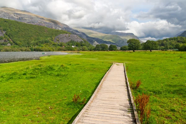 stock image Wooden path in Snowdonia, Wales, UK