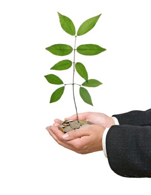 Palms with a sapling growng from pile of coins clipart