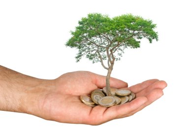 Palm with a tree growng from pile of coins clipart