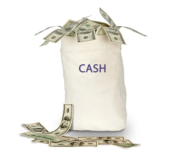 Bag with cash — Stock Photo, Image