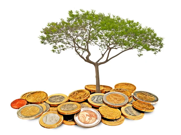 Árvore que cresce a partir de pilha de moedas — Fotografia de Stock