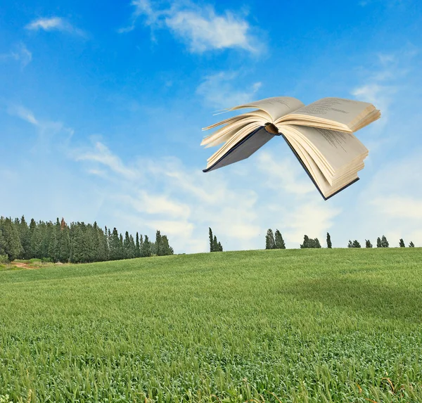Vliegende boek — Stockfoto