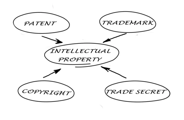 Защита интеллектуальной собственности — стоковое фото