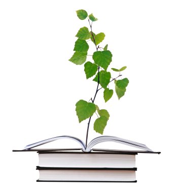 Sapling growing from open book clipart