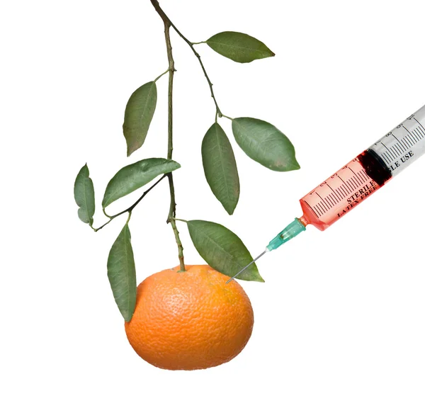 Analiza mandarinei — Fotografie, imagine de stoc