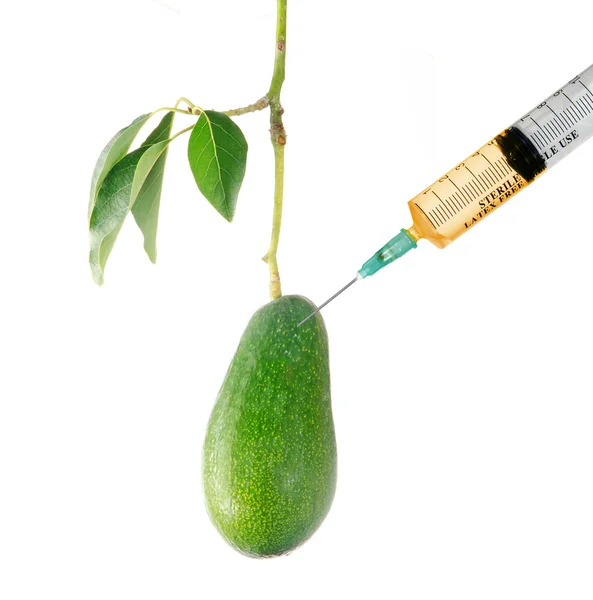 Analysis of avocado — Stock Photo, Image