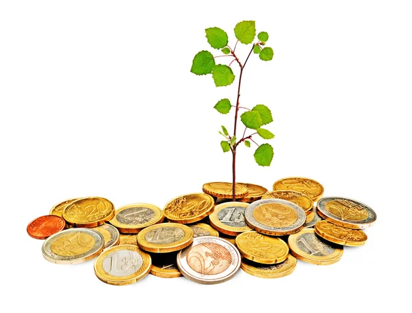 Plantgoed groeien uit de stapel van munten — Stockfoto