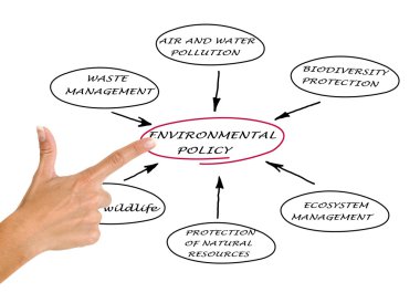 Diagram of environmental policy clipart