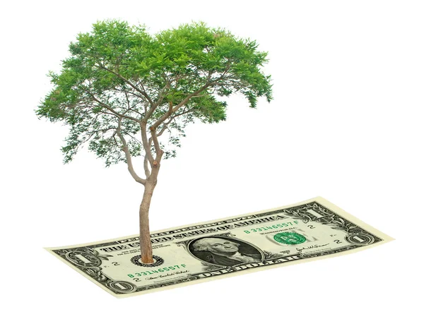 Drzewo na banknocie — Zdjęcie stockowe