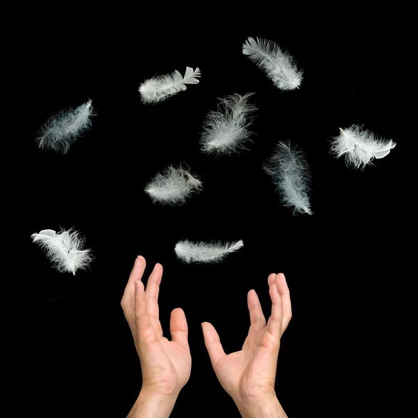Close up of white feathers falling to hands — Stock Photo, Image