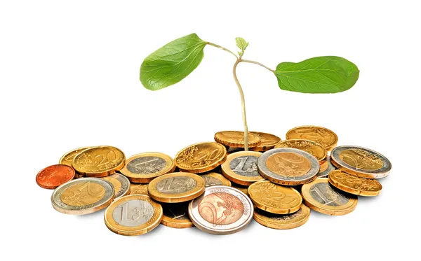 Castor oil tree sapling growing from pile of coins — Stock Photo, Image