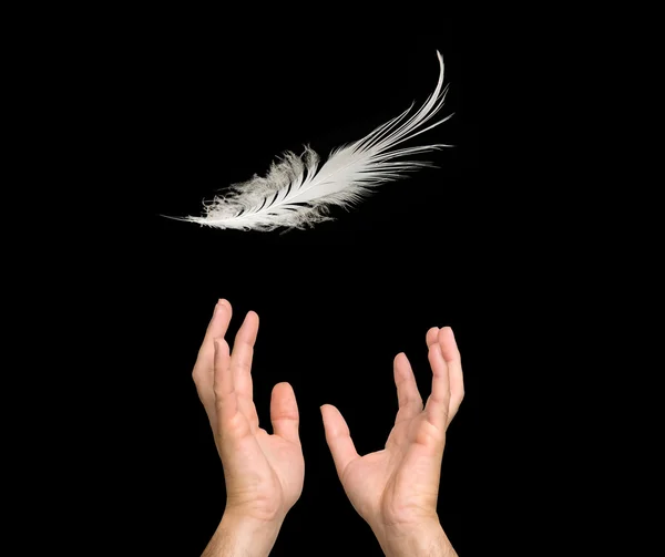 Close up of white feathers falling to hand — Stock Photo, Image