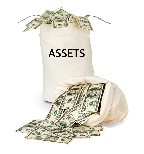 Assets — Stock Photo, Image