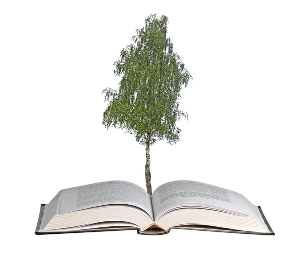Strom, který roste z knihy — Stock fotografie