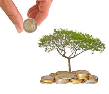 Tree growing from coins clipart