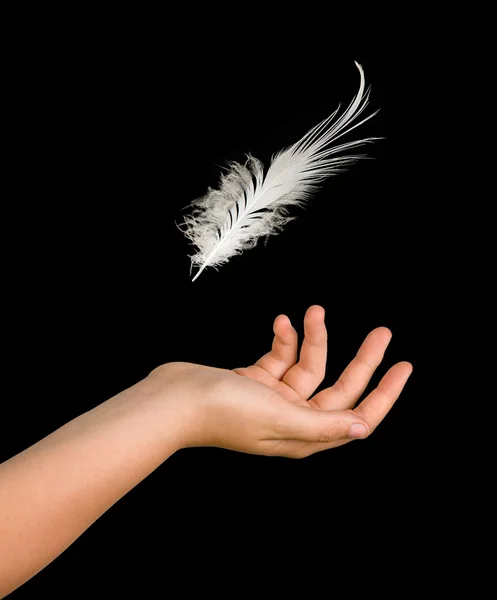 手に落ちる白い羽のクローズ アップ — ストック写真