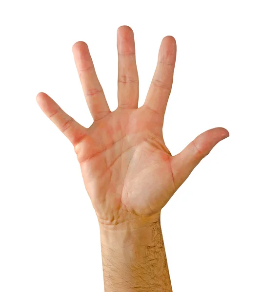 Mão de gesticagem — Fotografia de Stock