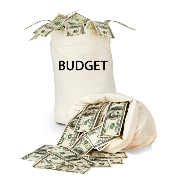 Väska med budget — Stockfoto