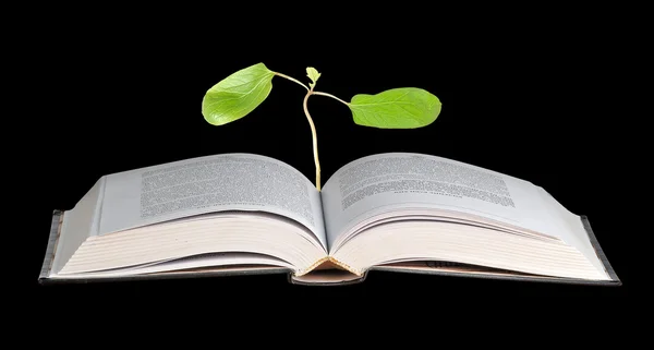 Книга з касторовою олійною рослиною з першим листям — стокове фото