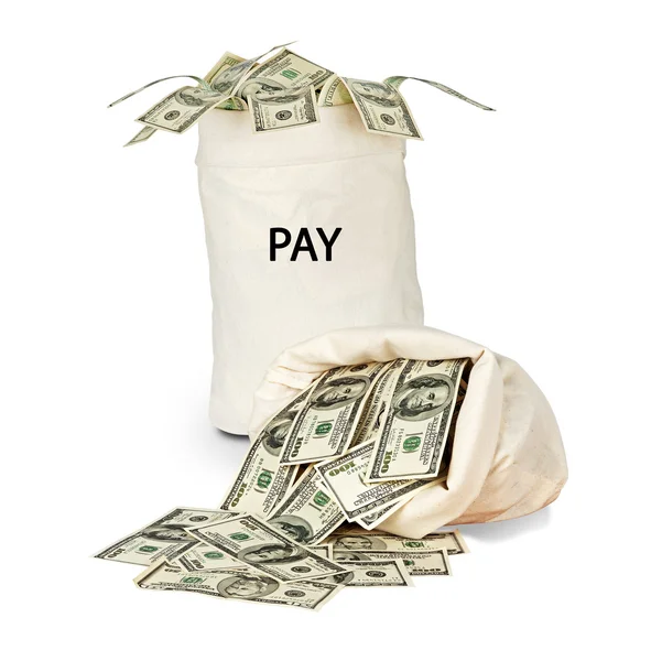 Bag with pay — Stock Photo, Image