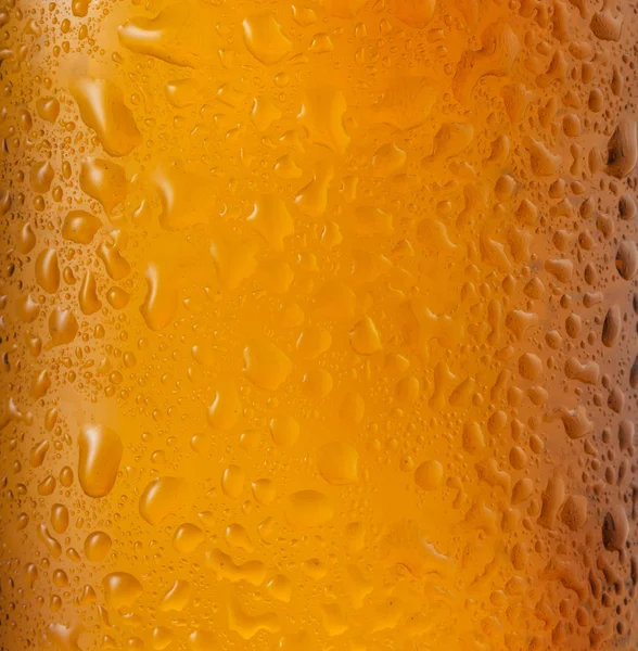 Bottle of beer as background