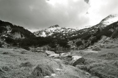 Black and white bulgarian nature