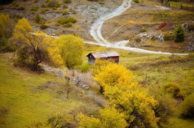 Golden fall landscape clipart