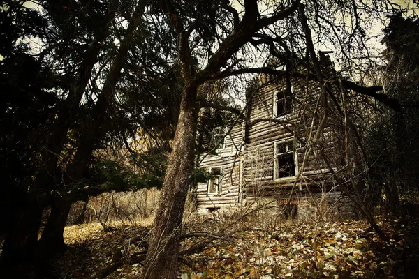 Vintage läskigt hus — Stockfoto