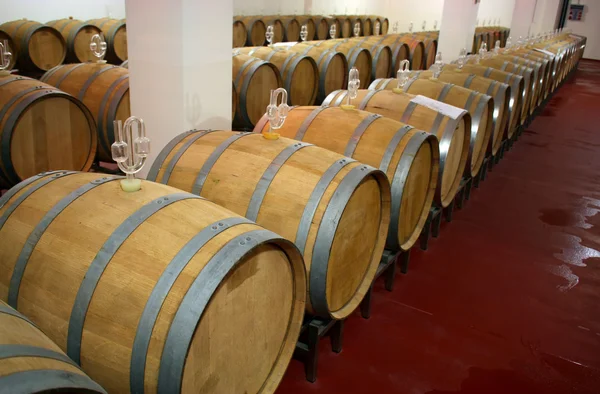 Winery barrels — Stock Photo, Image